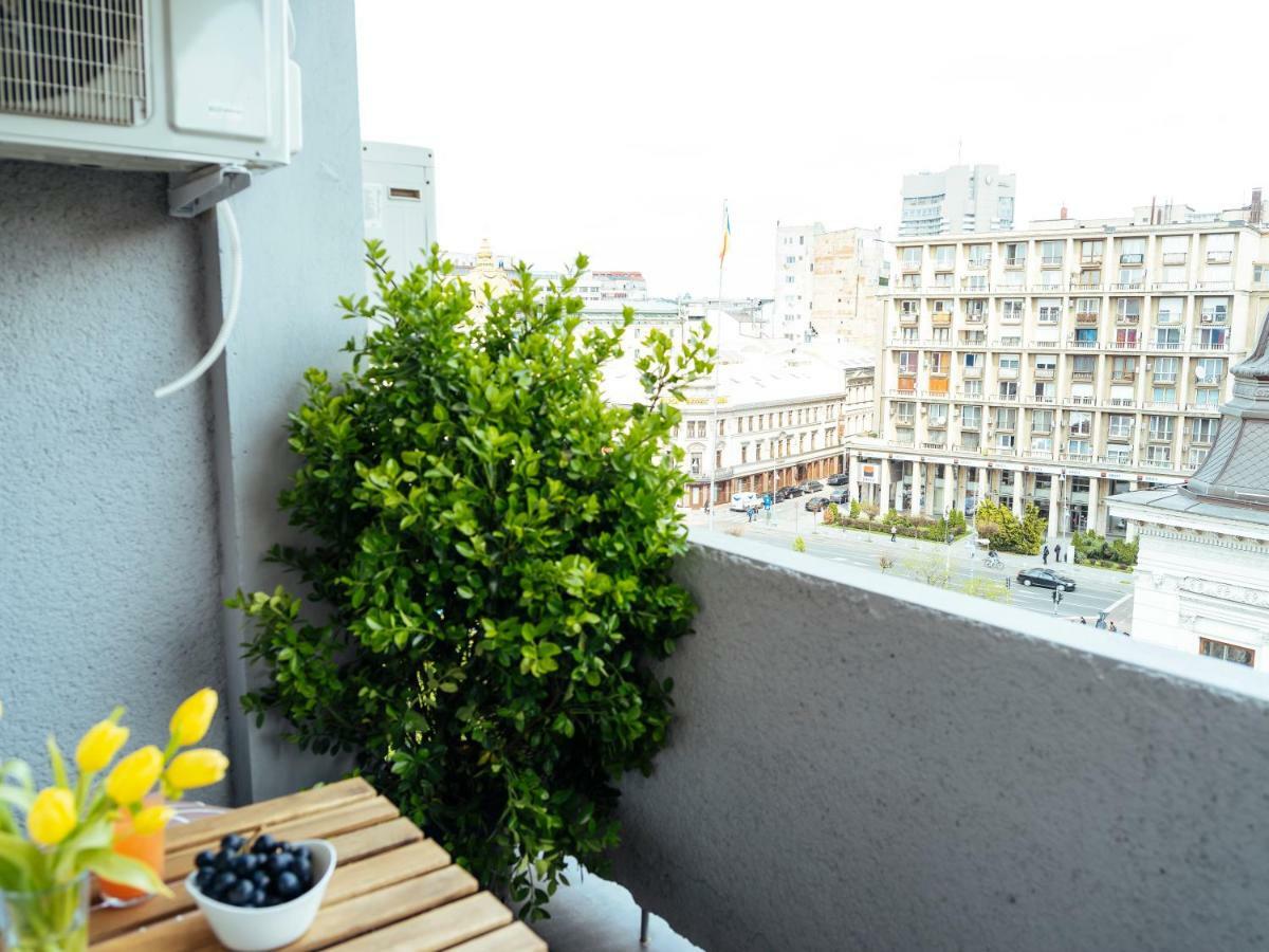 Amazing View - Top Location - Universitate Studio Bucureşti Exterior foto